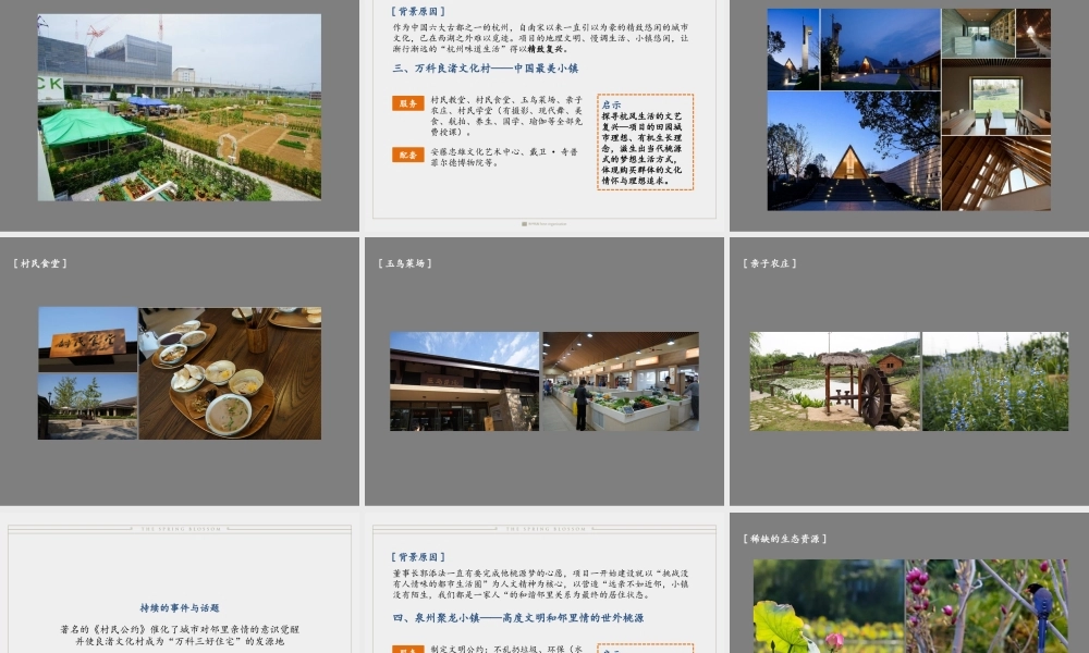 上海和声-厦门绿城品牌及桃李春风推广方案.pptx