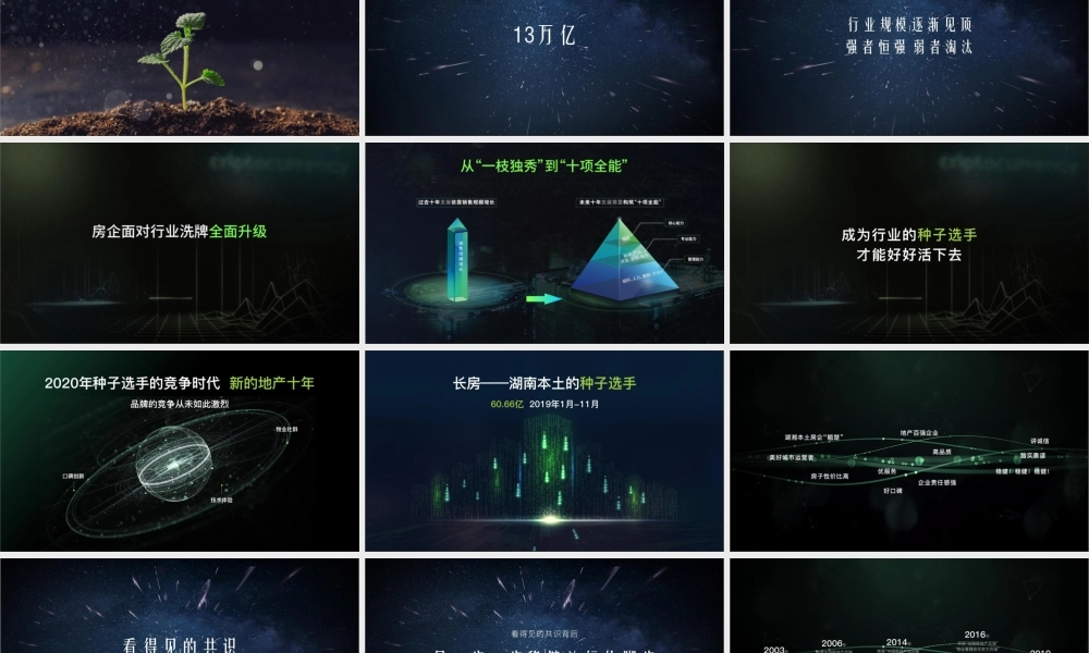 大拿中国DNACHINA-长房集团2020年品牌整合推广全案.pptx