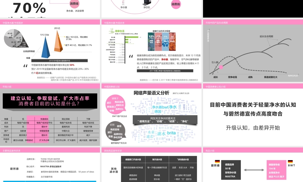BWT碧然德营销推广全案.pptx