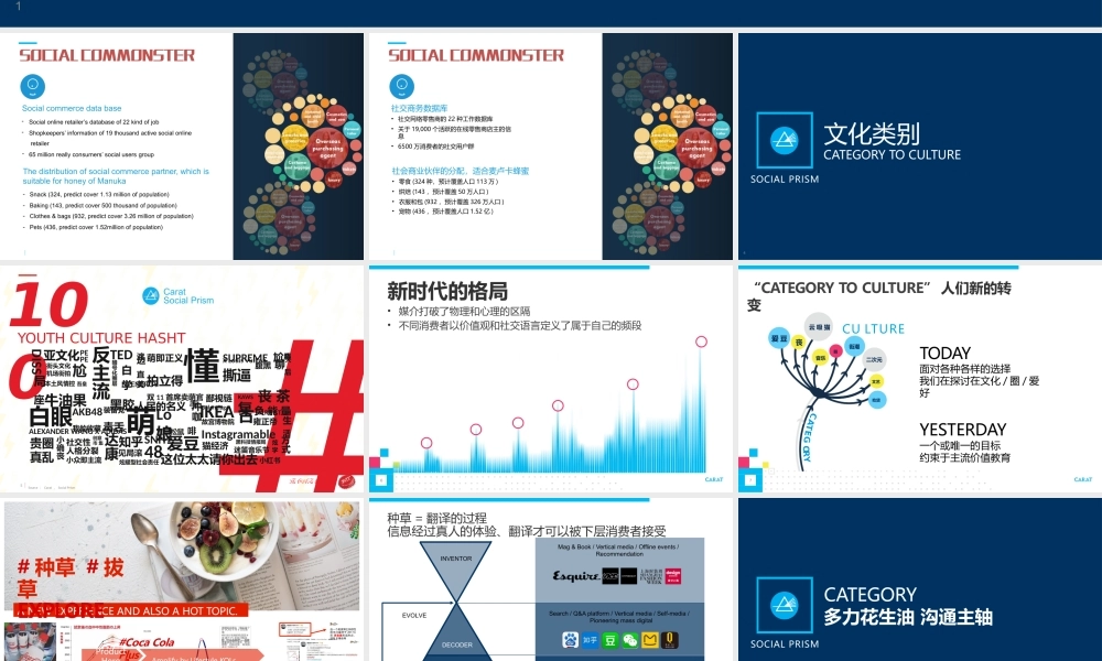 2018-2019年多力花生油媒介投放执行全案.pptx