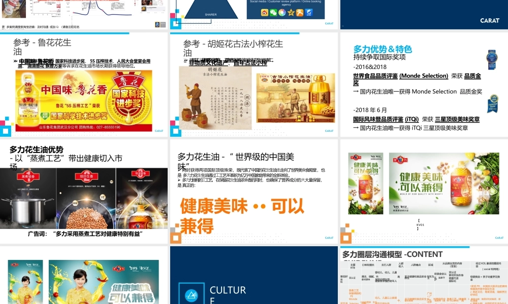 2018-2019年多力花生油媒介投放执行全案.pptx