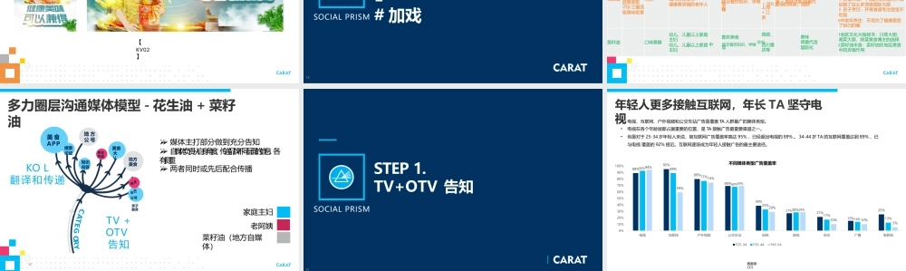 2018-2019年多力花生油媒介投放执行全案.pptx