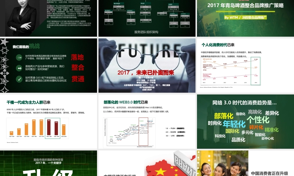 117.青岛啤酒整合品牌推广策略 by WTM.pptx