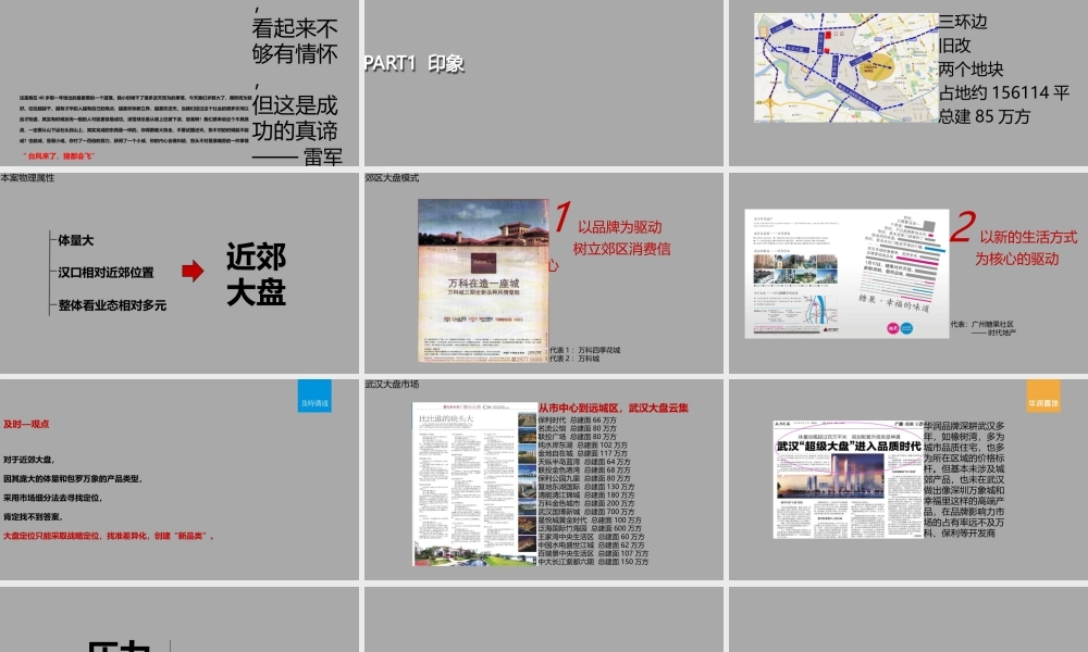 武汉华润（长丰村地块）项目整合传播策略全案.ppt