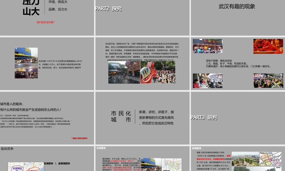 武汉华润（长丰村地块）项目整合传播策略全案.ppt