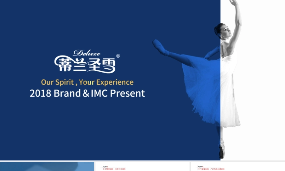 102.蒙牛蒂兰圣雪品牌策略.pptx