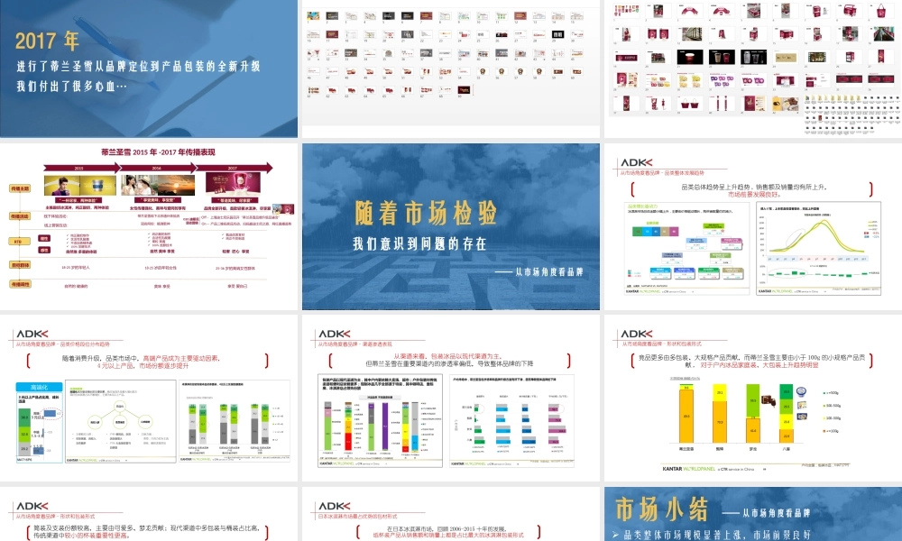 102.蒙牛蒂兰圣雪品牌策略.pptx