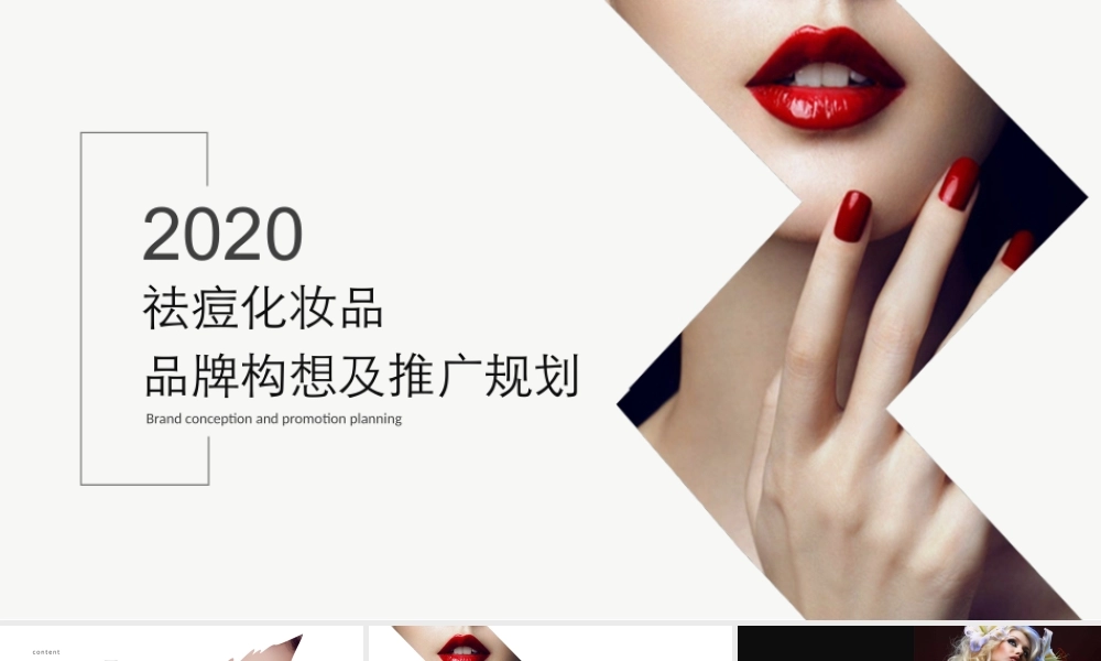 2020祛痘化妆品品牌构想及推广规划方案.pptx