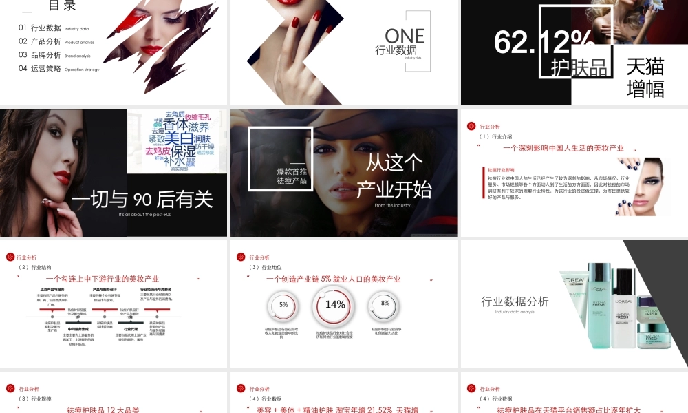 2020祛痘化妆品品牌构想及推广规划方案.pptx