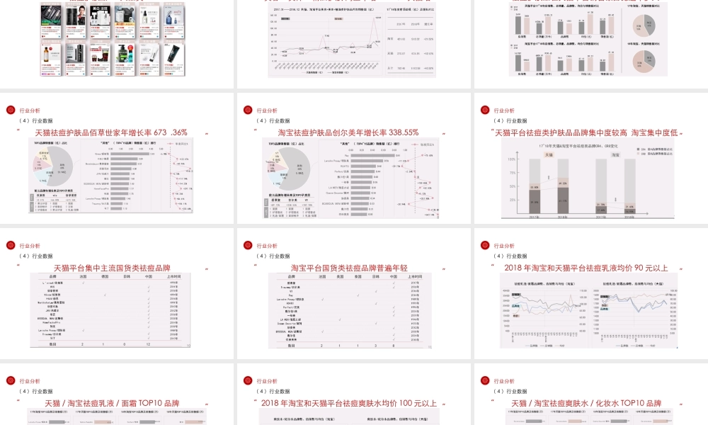 2020祛痘化妆品品牌构想及推广规划方案.pptx