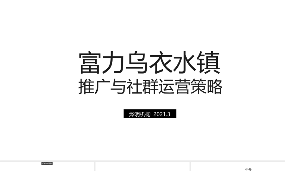 乌衣水镇抖音推广、社群运营策略方案.pptx