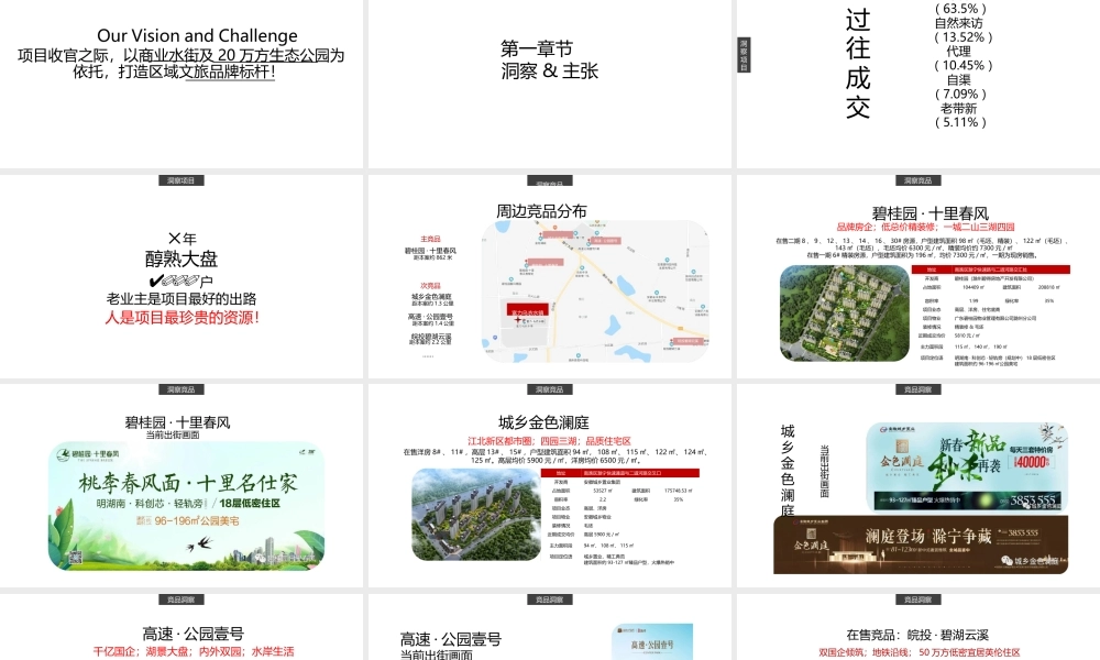 乌衣水镇抖音推广、社群运营策略方案.pptx