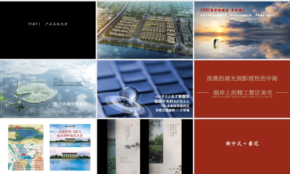 北京典晶-北京中海丽春湖墅全案整合传播案.ppt