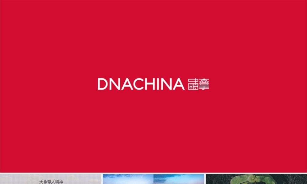 2020长房集团品牌整合推广.pptx