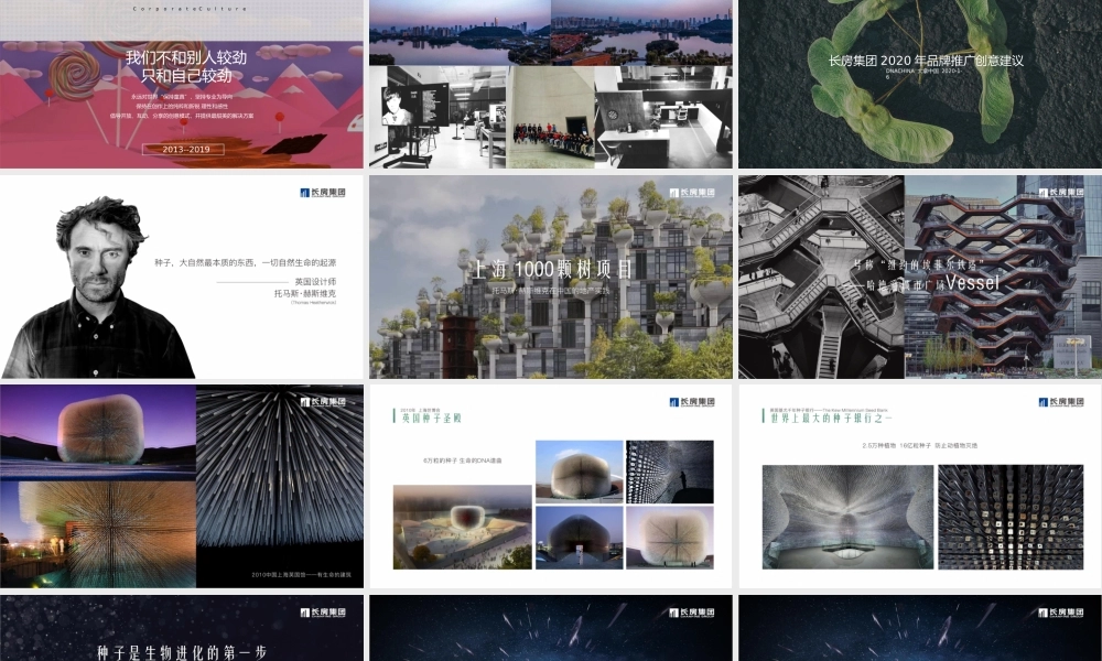 2020长房集团品牌整合推广.pptx