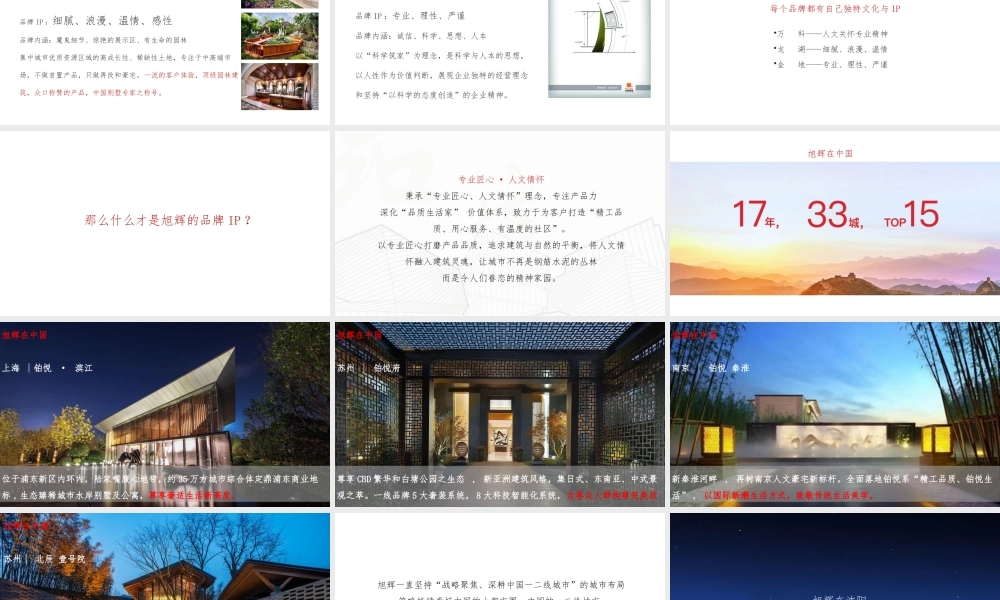 中国博思堂-旭辉地产品牌推广案.pptx