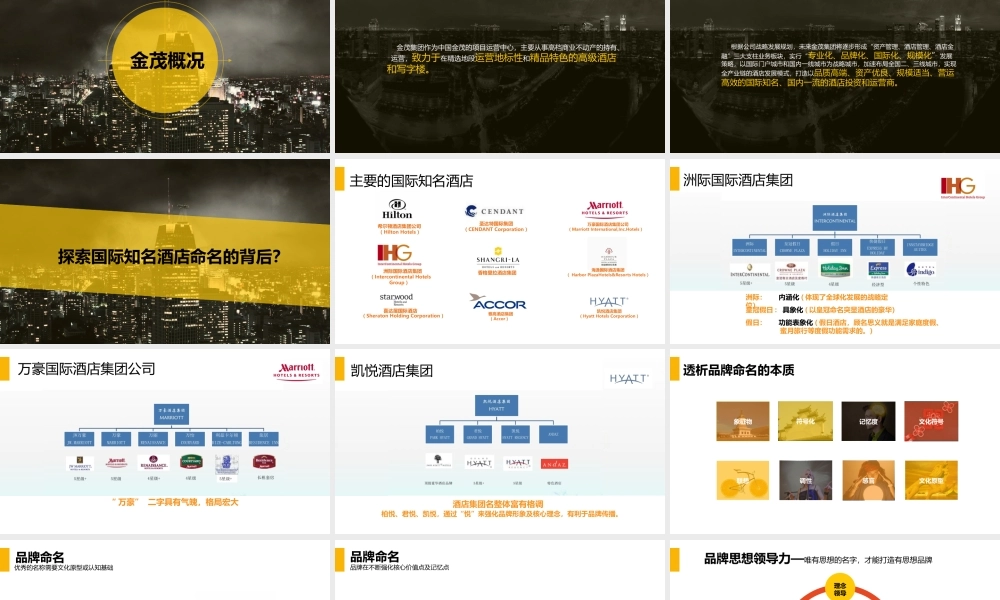 49.金茂酒店命名最终确定版.pptx