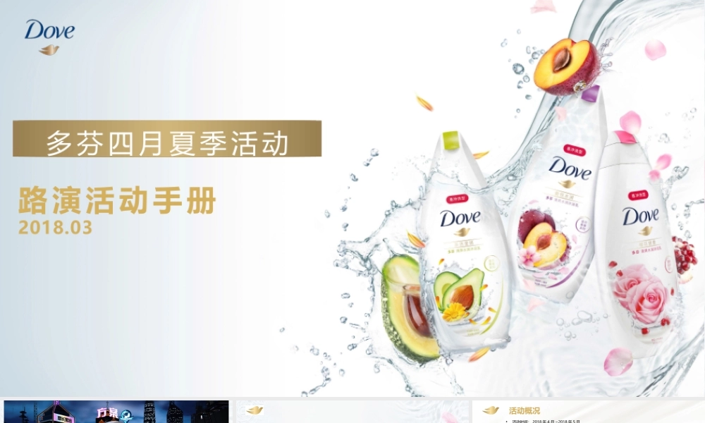 36.多芬春季路演活动执行手册.pptx