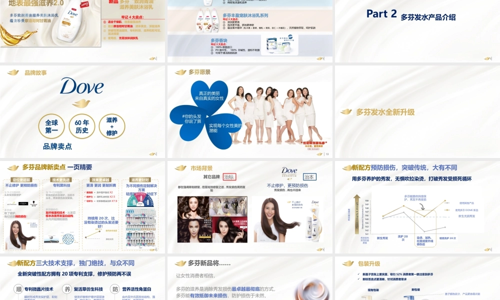 36.多芬春季路演活动执行手册.pptx