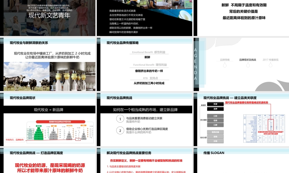 37.现代牧业 市场传播策略及传播.pptx