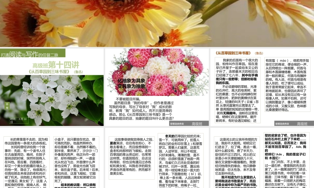 一期高级班第十五讲.pptx