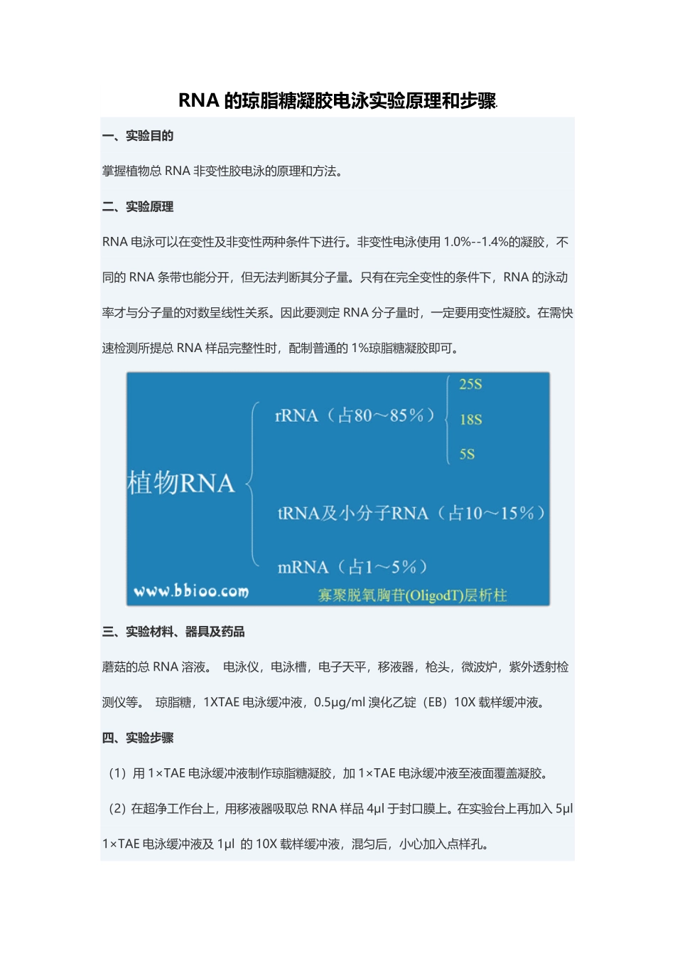 RNA琼脂糖凝胶电泳(2).pdf_第1页