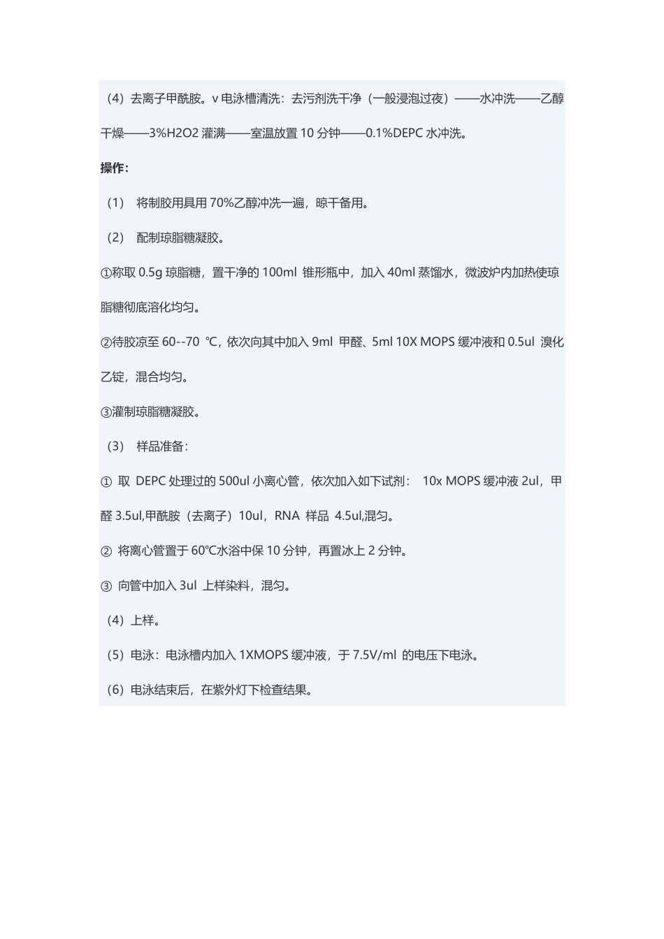 RNA琼脂糖凝胶电泳(2).pdf_第3页