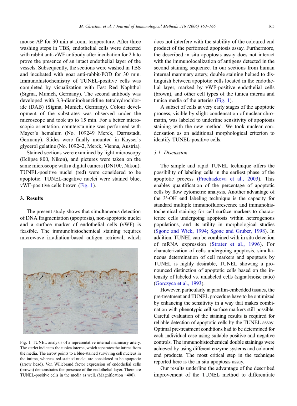 Simultaneous detection of a cell surface antigen and apoptosis.pdf_第3页