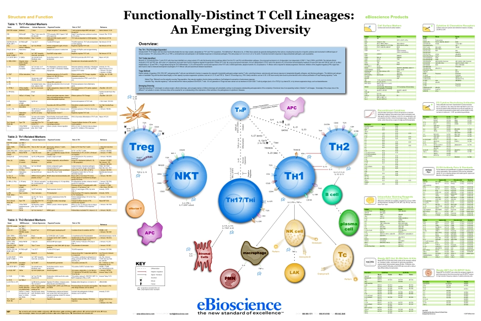 TCell_Poster.pdf_第1页