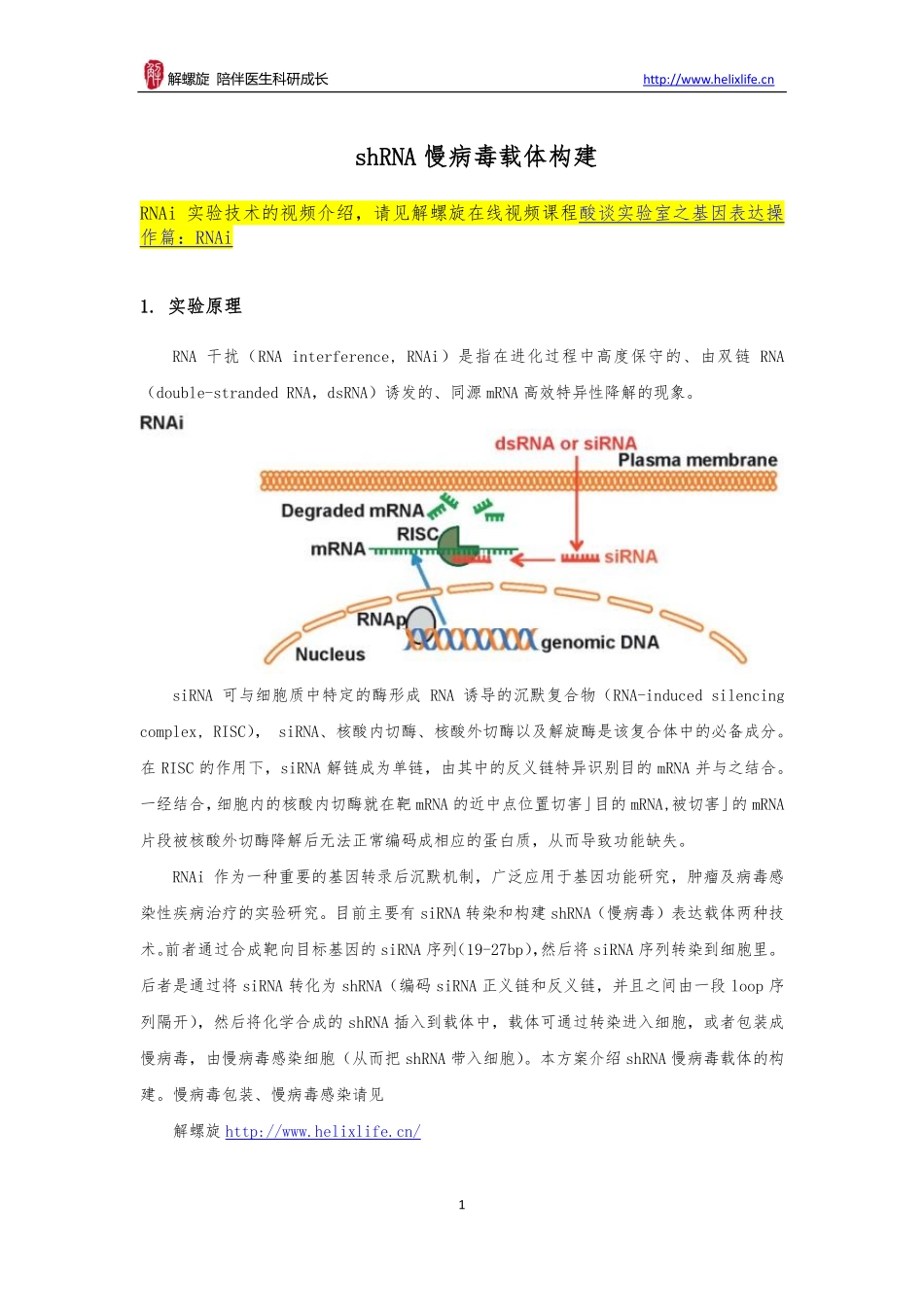 shRNA慢病毒载体构建(1).pdf_第1页