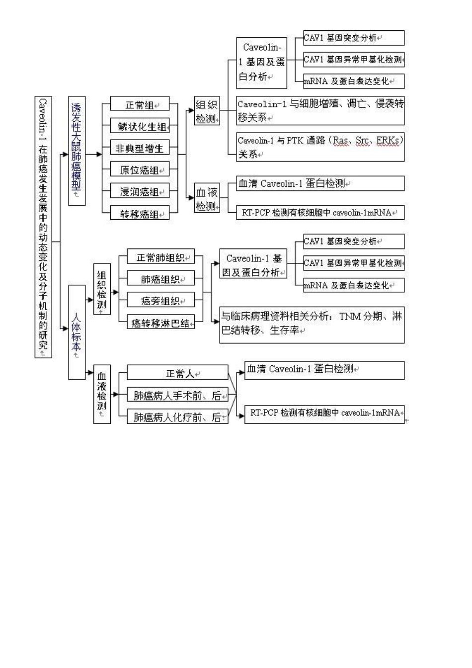 技术路线图（网络大搜集）.pdf_第2页