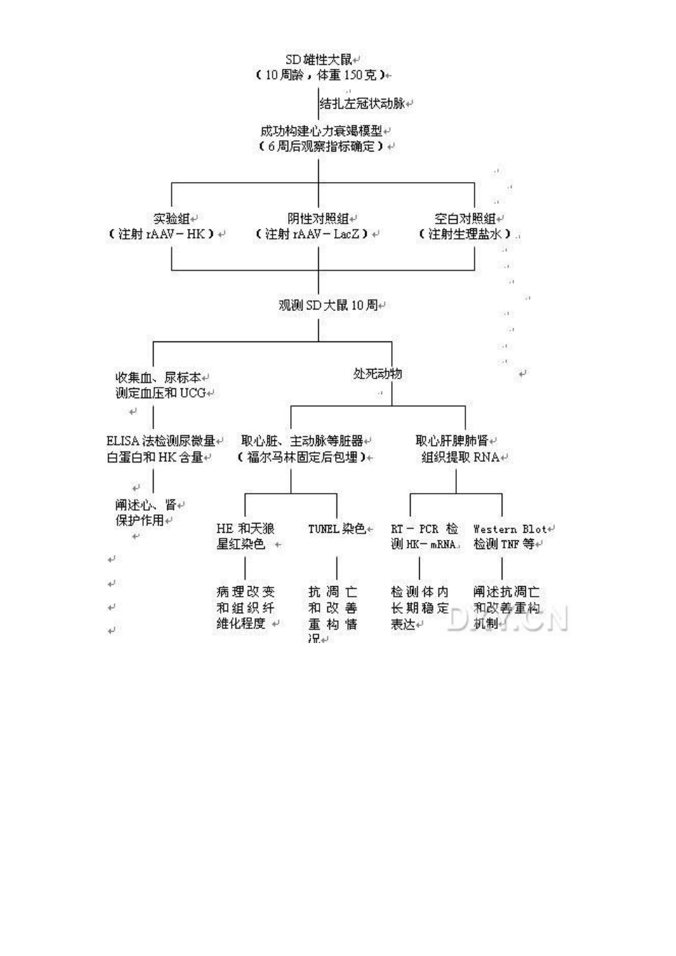技术路线图（网络大搜集）.pdf_第3页
