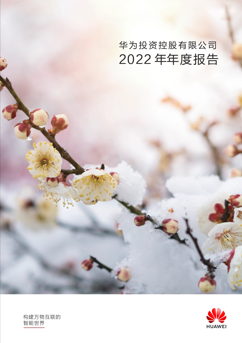 华为公司2022年年度报告-华为-2023-145页-WN5.pdf_第1页