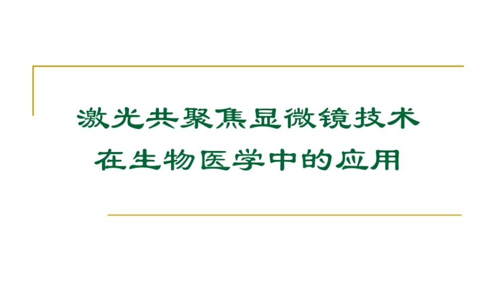 激光共聚焦显微镜技术(1).ppt