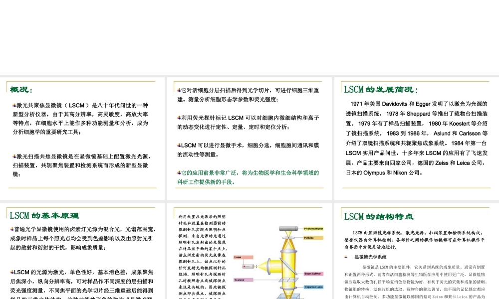 激光共聚焦显微镜技术(1).ppt