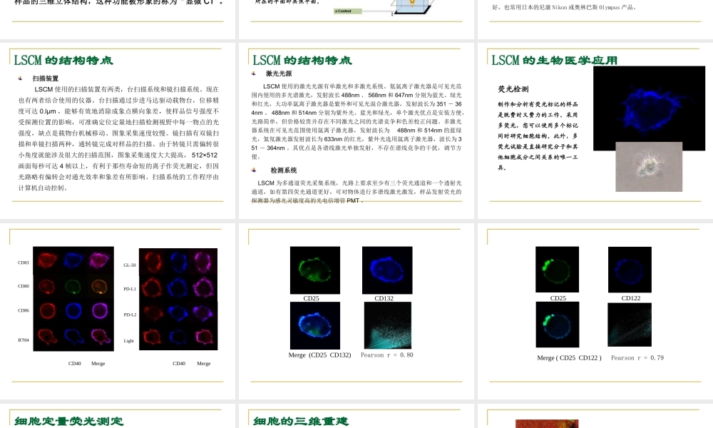 激光共聚焦显微镜技术(1).ppt