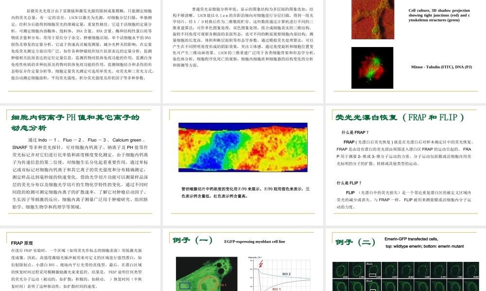 激光共聚焦显微镜技术(1).ppt
