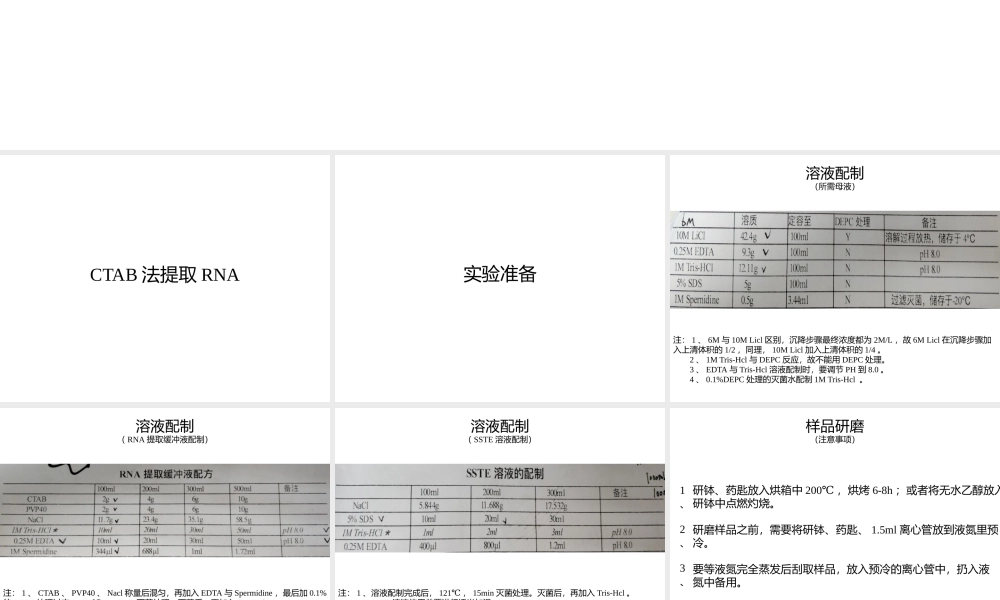 CTAB提取RNA与TRIzol提取RNA方法.pptx