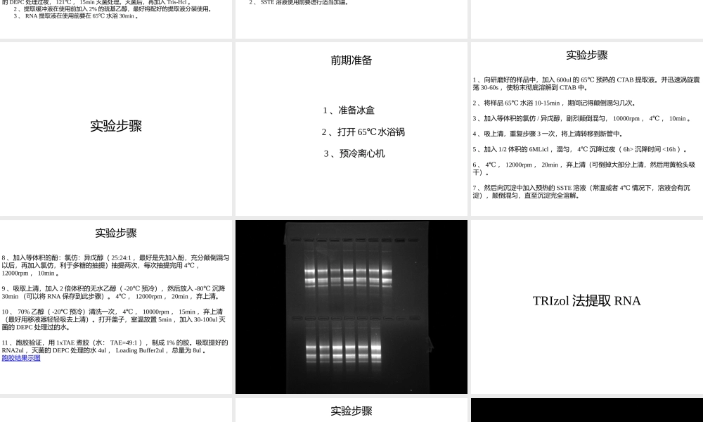 CTAB提取RNA与TRIzol提取RNA方法.pptx