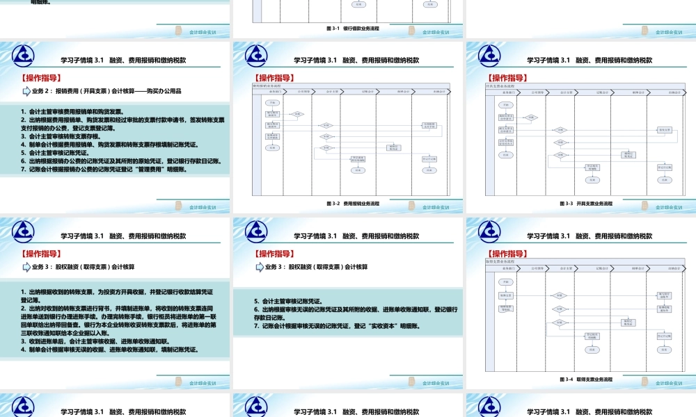 3.1 融资、费用报销和缴纳税款..ppt