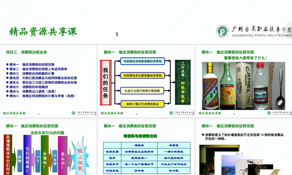 03项目三 消费税办税业务.pptx
