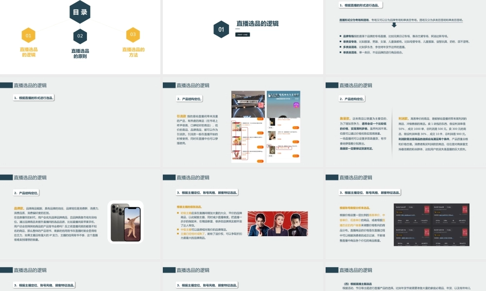 2.1 直播选品.pptx
