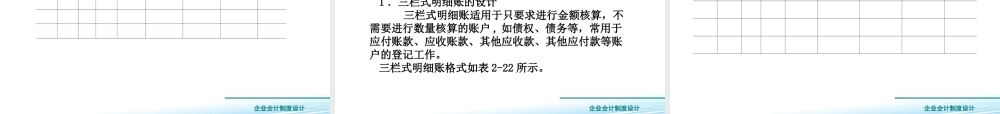 2.3会计账簿设计..ppt