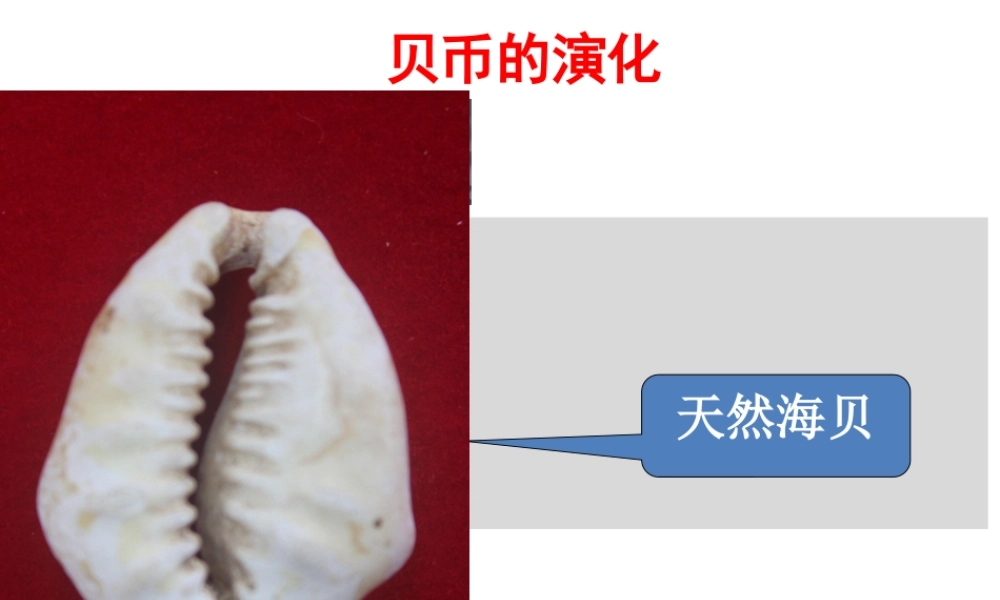 1.1贝币的演化.pptx