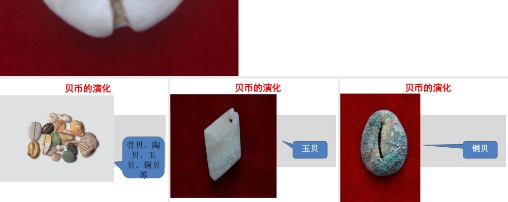 1.1贝币的演化.pptx