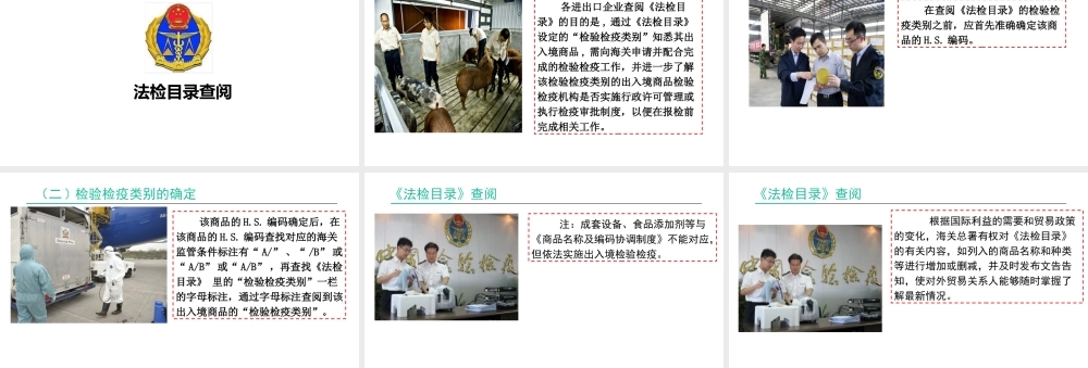 《法检目录》查阅.pptx