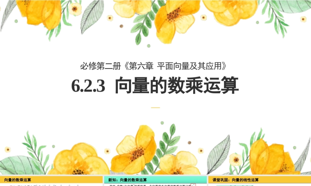 6.2.3 向量的数乘运算(2个课时)（课件）-2022-2023学年高一数学同步精品课堂（人教A版2019必修第二册）.pptx
