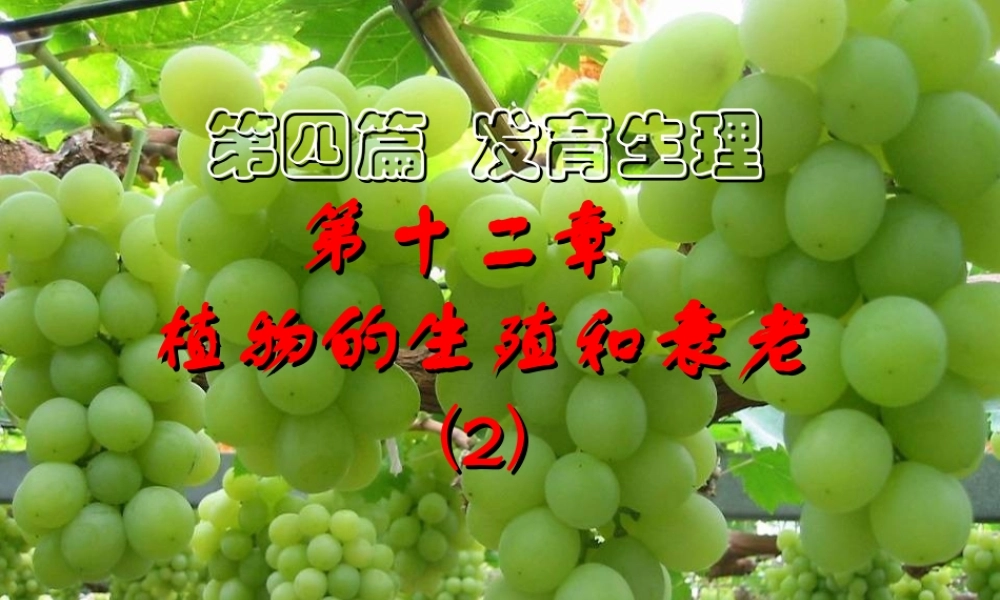 第十二章 植物的生殖和衰老2009(2)s.PPT