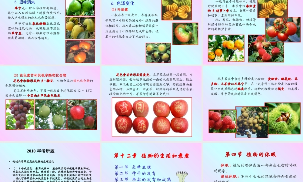 第十二章 植物的生殖和衰老2009(2)s.PPT