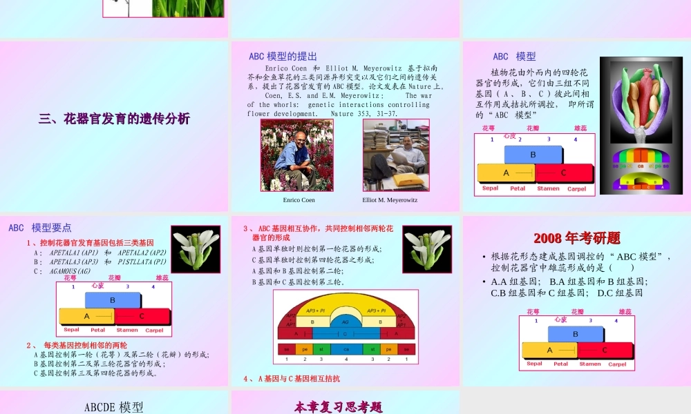 第十一章 植物的成花生理2009(2)s.PPT